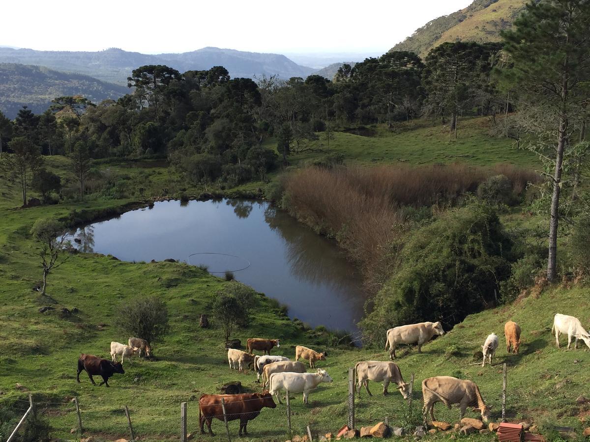 Fazenda Morro Das Torres Урупема Экстерьер фото